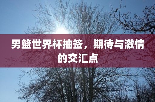 丹东日丰电子有限公司男篮世界杯抽签，期待与激情的交汇点