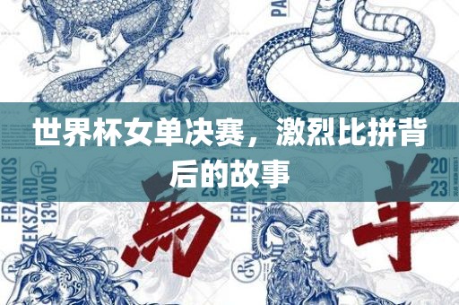 世界杯女单决赛，激烈比拼背后的故事丹东日丰电子有限公司
