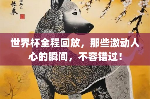 世界杯全程回放，那些激动人心的瞬间，不容错过！
