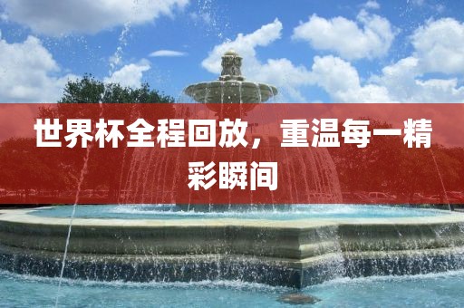 世界杯全程丹东日丰电子有限公司回放，重温每一精彩瞬间