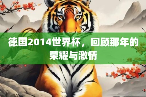 德国2014世界杯，回顾那年的荣耀与激情丹东日丰电子有限公司