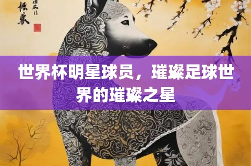 世界杯明星球丹东日丰电子有限公司员，璀璨足球世界的璀璨之星