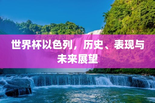 世界杯以色列，历史、表现与未来展望丹东日丰电子有限公司