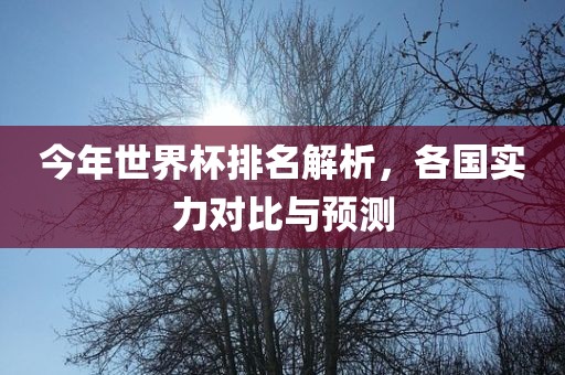 今年世界杯排名解析，各国实力对比与预测
