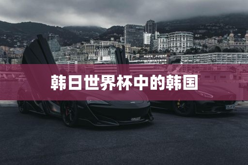 韩日世界杯中的韩国丹东日丰电子有限公司