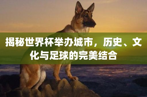 揭秘世界杯举办城市，历史、文化与足球的完美结合