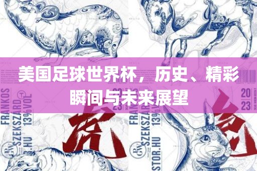 美国足球世界杯，历史、丹东日丰电子有限公司精彩瞬间与未来展望