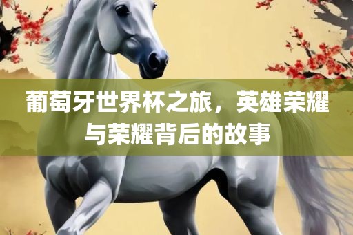 葡萄牙世界杯之旅，英雄荣耀与荣耀背后的故事丹东日丰电子有限公司