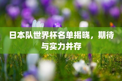 日本队世界杯名单揭晓，期待与实力并存