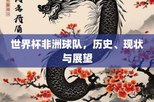 世界杯非洲球队，历史、现状与展望