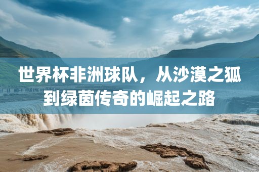 世界杯非洲丹东日丰电子有限公司球队，从沙漠之狐到绿茵传奇的崛起之路