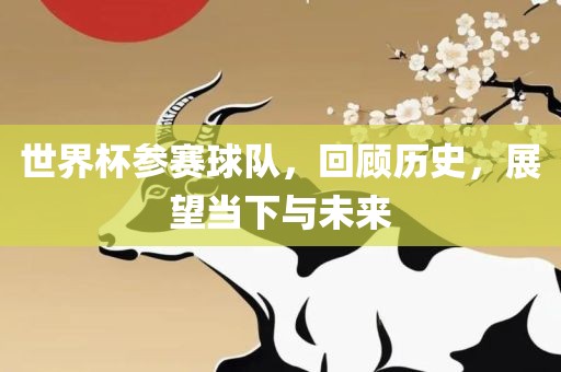世界杯参赛球队，丹东日丰电子有限公司回顾历史，展望当下与未来