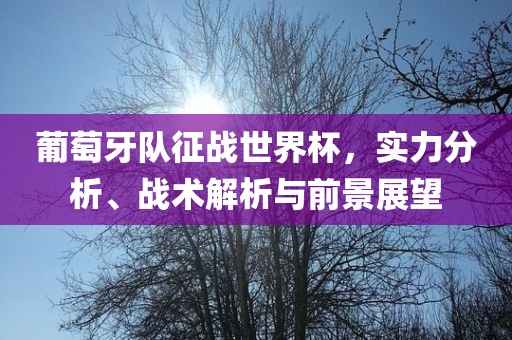 葡萄牙队征战世界杯，实力分析、战术解析与前景展望丹东日丰电子有限公司