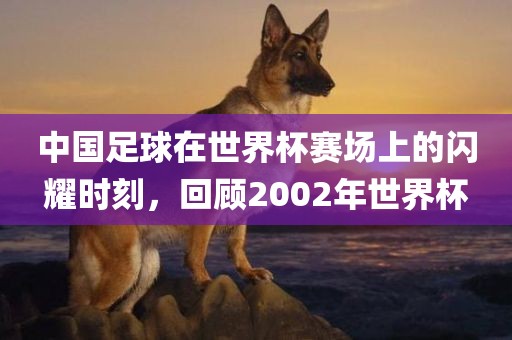 中国足球在世界杯赛场上的闪耀时刻，回顾2002年世界杯丹东日丰电子有限公司