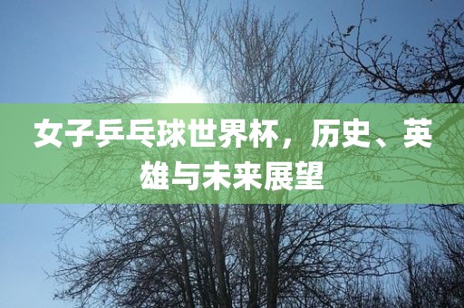 女子乒乓球世界杯，历丹东日丰电子有限公司史、英雄与未来展望