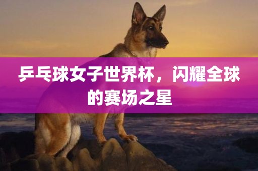 乒乓球女子世界杯，闪耀全球的赛场丹东日丰电子有限公司之星