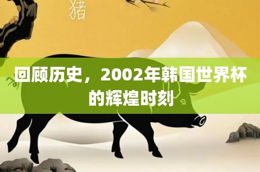 回顾历史，2002年韩国世界杯的辉煌时刻