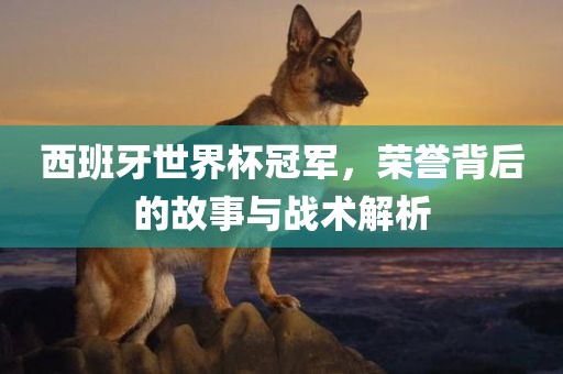 西班牙世界杯冠军，荣誉背后的故事与战术解析丹东日丰电子有限公司