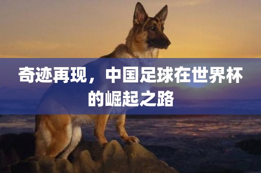 奇迹再现，中国丹东日丰电子有限公司足球在世界杯的崛起之路