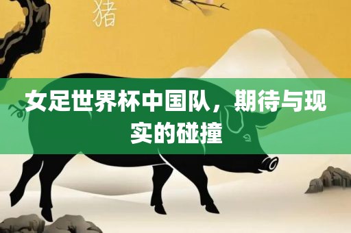 女足世界杯丹东日丰电子有限公司中国队，期待与现实的碰撞