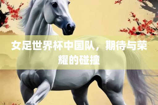 女足世界杯中国队，期待与荣耀的碰撞丹东日丰电子有限公司