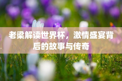 老梁解读世界杯，激情盛宴背后的故事与传奇