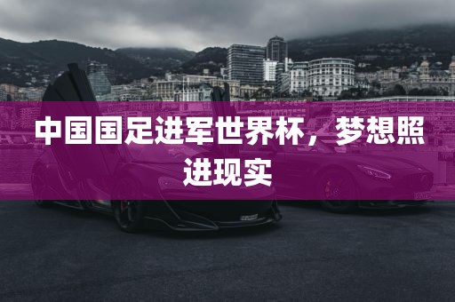中国国足进军世界杯，梦想照进现实丹东日丰电子有限公司