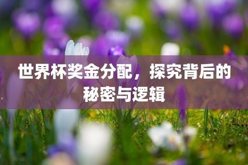 世界杯奖金分配，探究背后的秘密与逻辑丹东日丰电子有限公司
