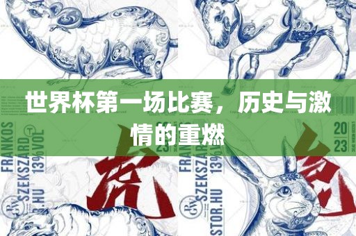 世界杯第一场比赛，历史与激情的重燃丹东日丰电子有限公司