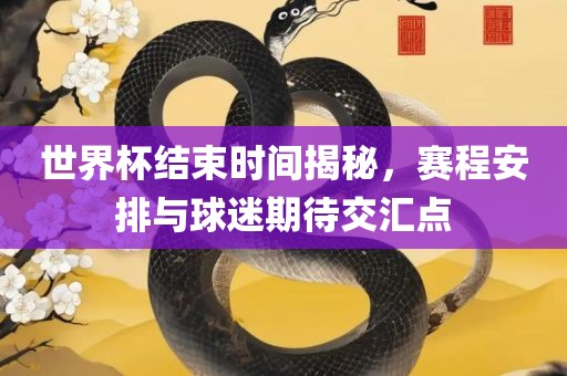 世界杯结束时间揭秘，赛程安排与球迷期待交汇点