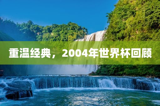 重温经典，2004年世界杯回顾丹东日丰电子有限公司