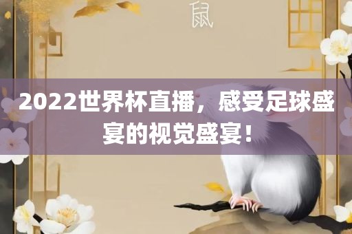 2022世界杯直播，感受足球盛宴的视觉盛宴！丹东日丰电子有限公司