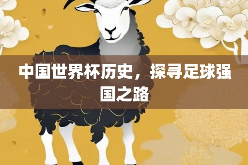 中国丹东日丰电子有限公司世界杯历史，探寻足球强国之路