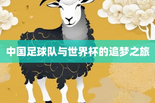 中国足球队与世界杯的追梦之旅丹东日丰电子有限公司