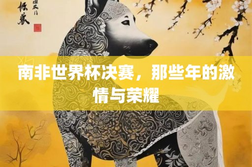 南非世界杯决赛，那些年的激情与荣耀丹东日丰电子有限公司