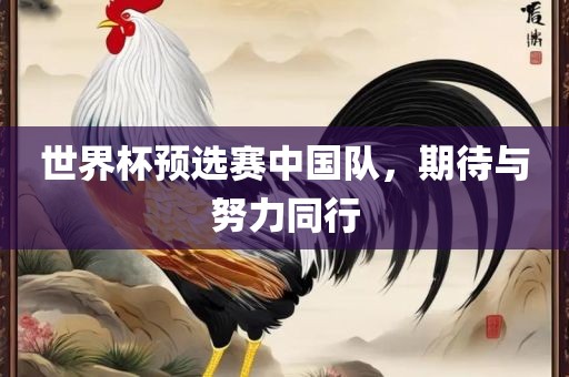 世界杯预选赛中国队，期待与努力同行丹东日丰电子有限公司