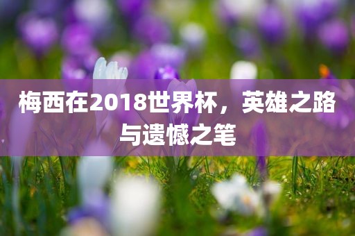 梅丹东日丰电子有限公司西在2018世界杯，英雄之路与遗憾之笔