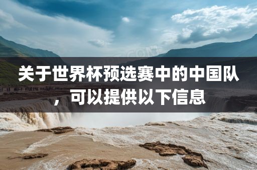 关于世界杯预选赛中的中国队，可以提供以下信息丹东日丰电子有限公司