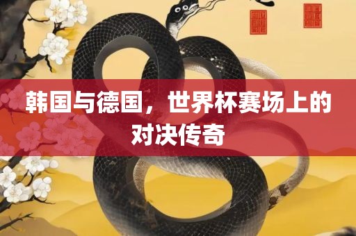 韩国与德国，世界杯赛场上的对决传奇