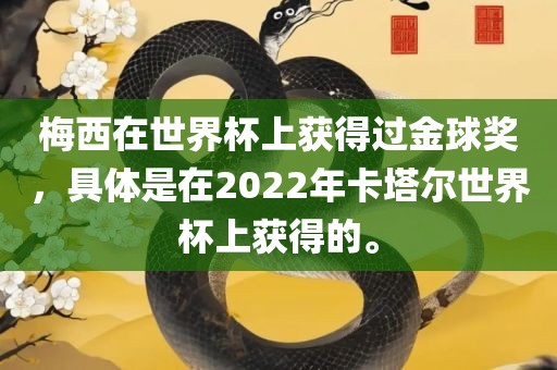 梅西在世界杯上获得过金球奖，具体是在2022年卡塔尔世界杯上获得的。丹东日丰电子有限公司