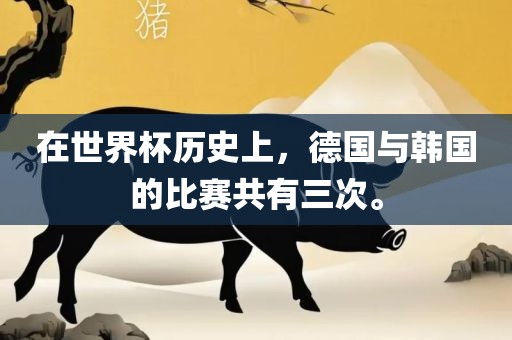 在世界杯历史上丹东日丰电子有限公司，德国与韩国的比赛共有三次。