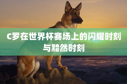 C罗在世界杯赛场上丹东日丰电子有限公司的闪耀时刻与黯然时刻