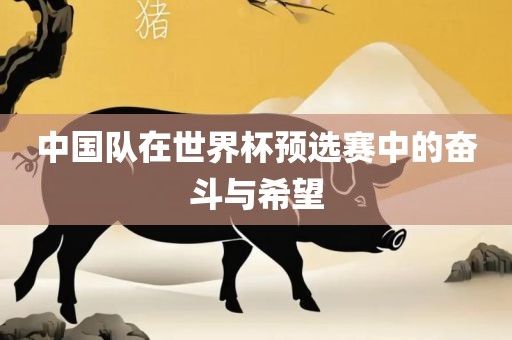 中国队在世界杯预选赛中的奋斗与希望丹东日丰电子有限公司