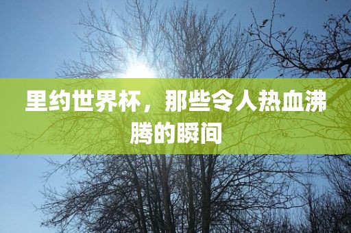 里约世界杯，那些令人热血沸腾的瞬间丹东日丰电子有限公司
