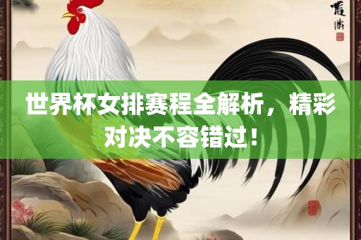 世界杯女排赛程全解析，精彩对决不容错过！丹东日丰电子有限公司