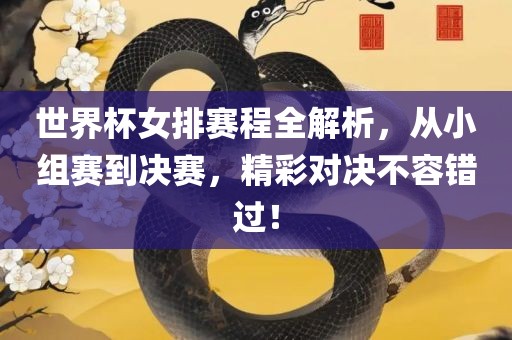 世界杯女排赛程全解析，从小组赛到决赛，精彩对决不容错过！