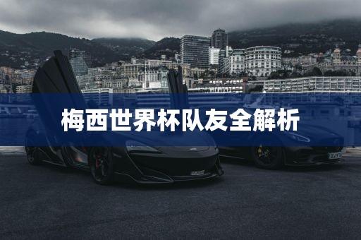 梅西世界杯队友全解析丹东日丰电子有限公司