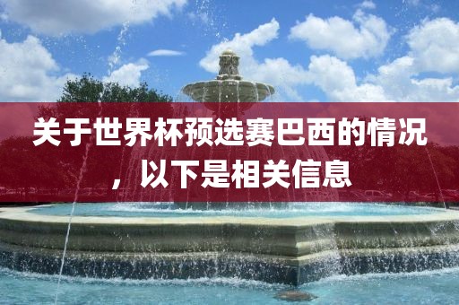 关于世界杯预选赛巴西的情况，以下是相关信息丹东日丰电子有限公司