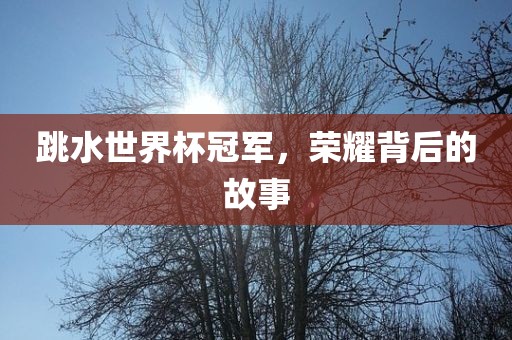 跳水世界杯冠军，荣耀背后的故事丹东日丰电子有限公司