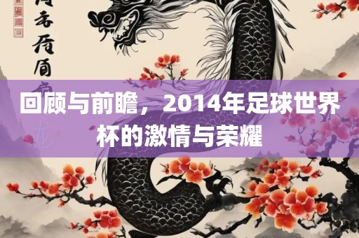 回顾与前瞻，2014年足球世界杯的激情与荣耀丹东日丰电子有限公司